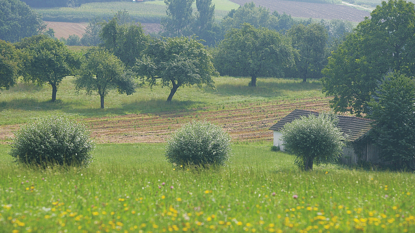 Blick aufs Rottal