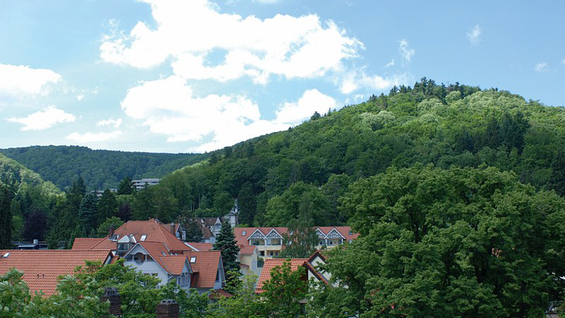 Blick ins Grüne