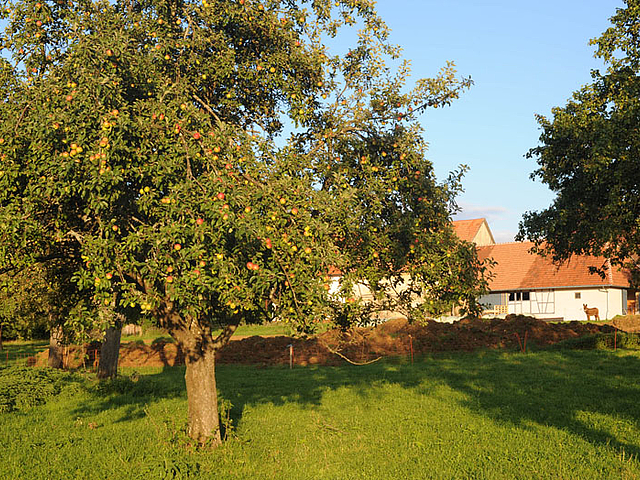 Hofgut Hopfenburg