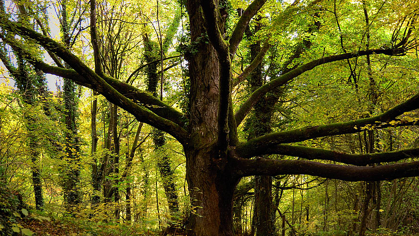 BIO.NATURURLAUB IM NATURPARK FRÄNKISCHE SCHWEIZ