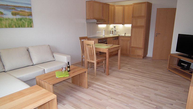 Wohnraum Wohnung Silbergras