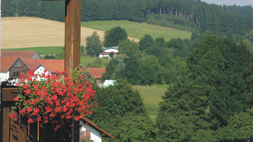 Blick aufs Rottal